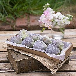 即时战略游戏《大鼠帝国》预告 9月正式发售